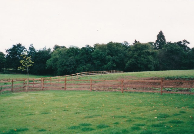 Room for improvement....