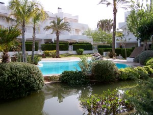 The view from where I'm sitting....