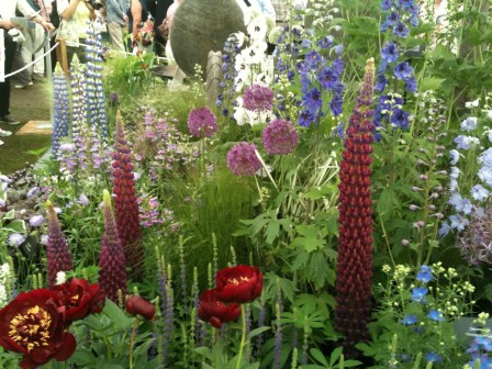 Lupins and peonies bring this scheme to life