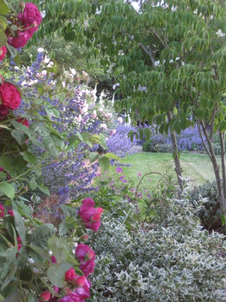 It even works in my own garden!