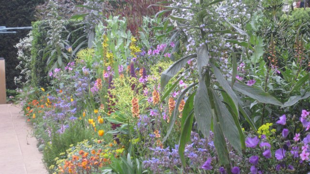 Oranges and yellows give this planting it's edge