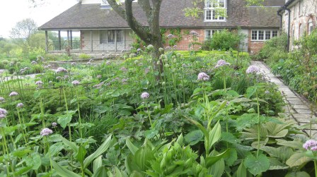 Valeriana officianalis at Bury Court