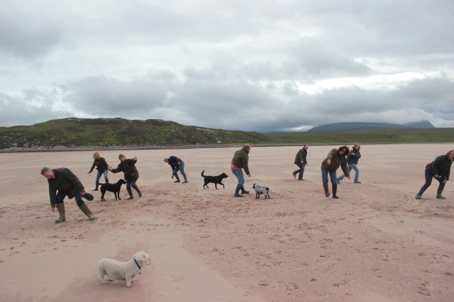 Don't think the dogs quite get it....