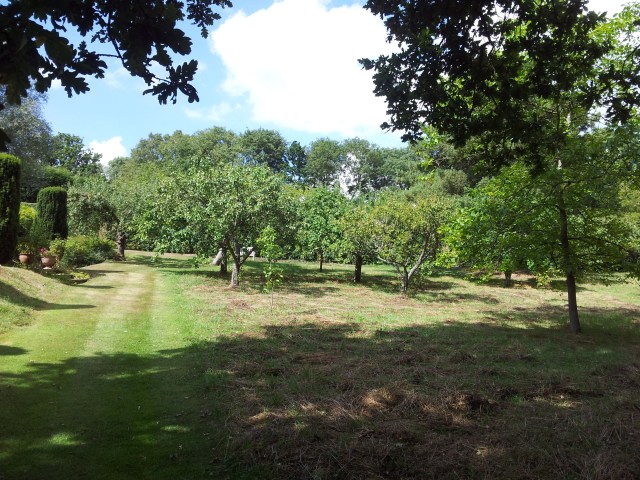 The Orchard