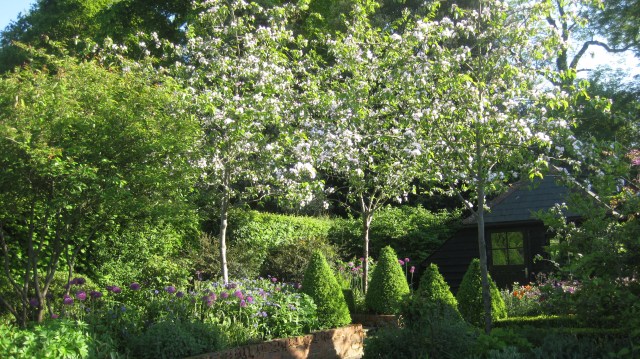 Spot the weedy one in the corner!