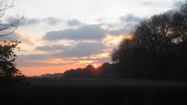 The view from my front door step....