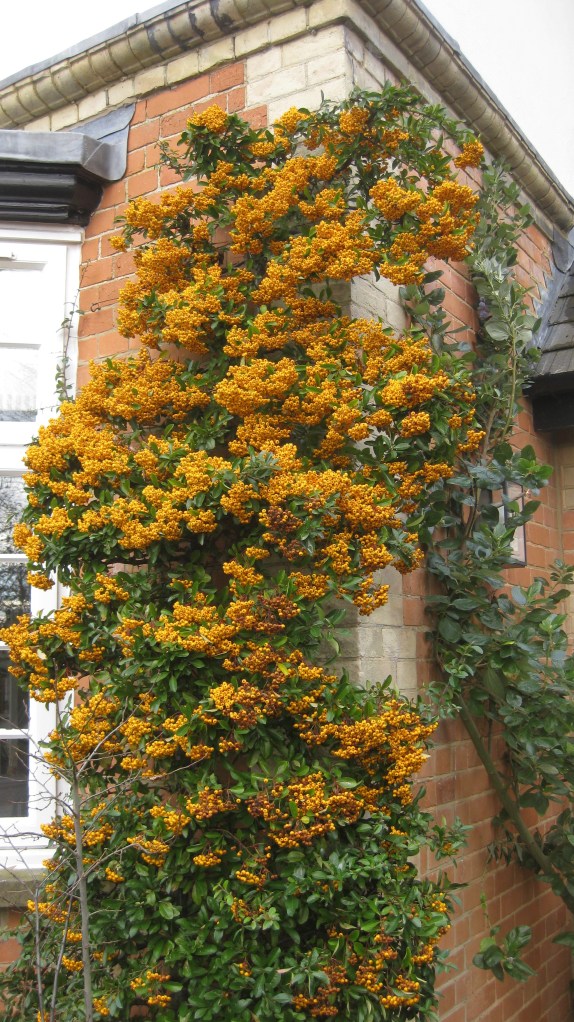 Although sometimes....