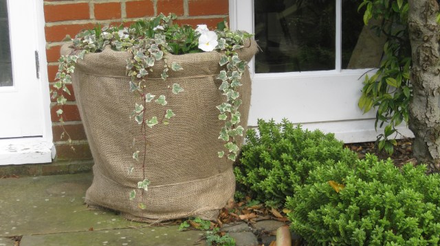 Tucked up for the winter....