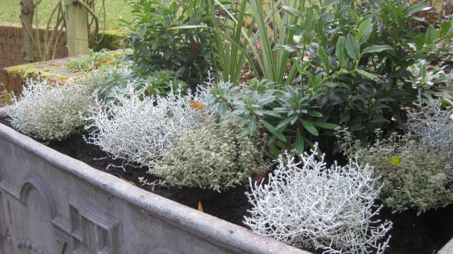 Gentle greens and subtle silvers....