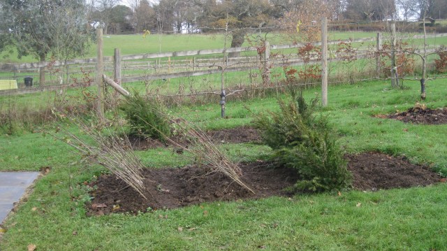 Away team in waiting....